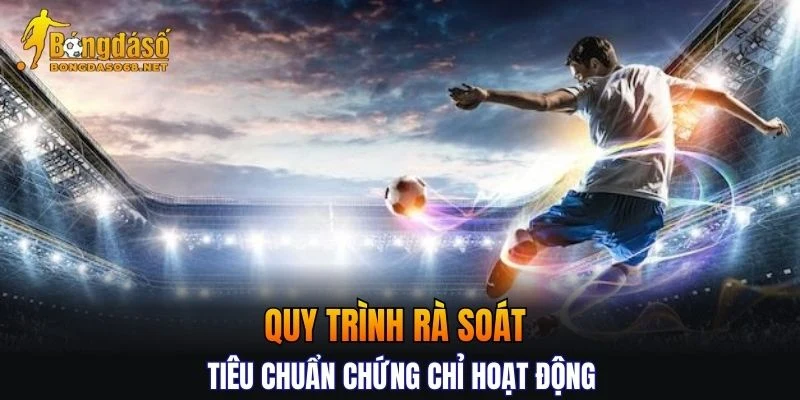 Chi tiết quy trình rà soát tiêu chuẩn chứng chỉ hoạt động