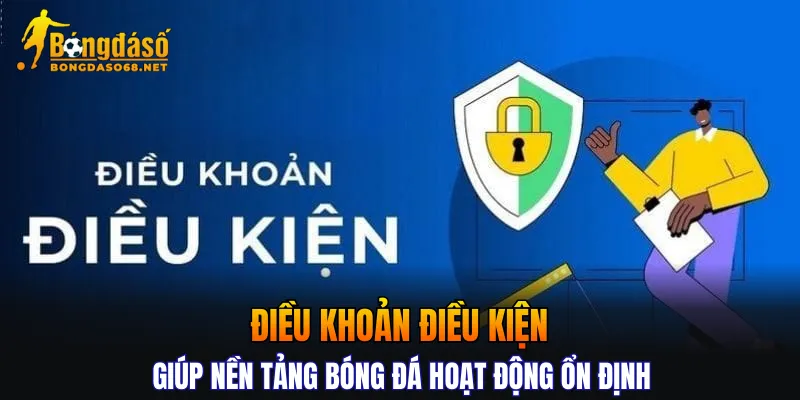 Điều khoản điều kiện giúp nền tảng bóng đá hoạt động ổn định