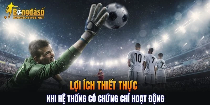 Lợi ích thiết thực khi hệ thống có chứng chỉ uy tín