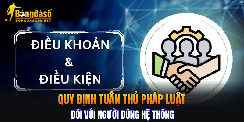 Quy định về điều khoản điều kiện và trách nhiệm người chơi