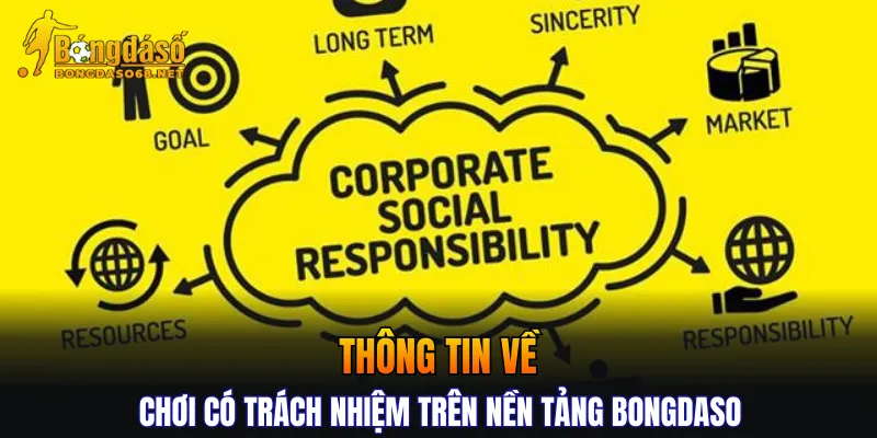 Thông tin về chơi có trách nhiệm trên nền tảng BONGDASO