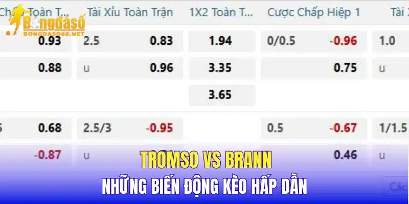 Tromso vs Brann những biến động kèo hấp dẫn