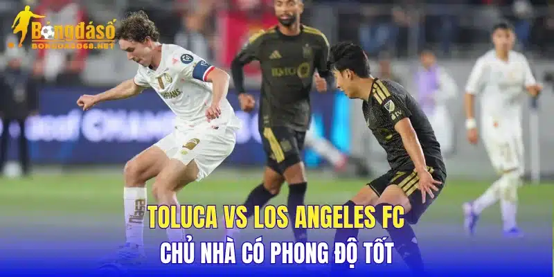 Toluca vs Los Angeles FC chủ nhà có phong độ tốt