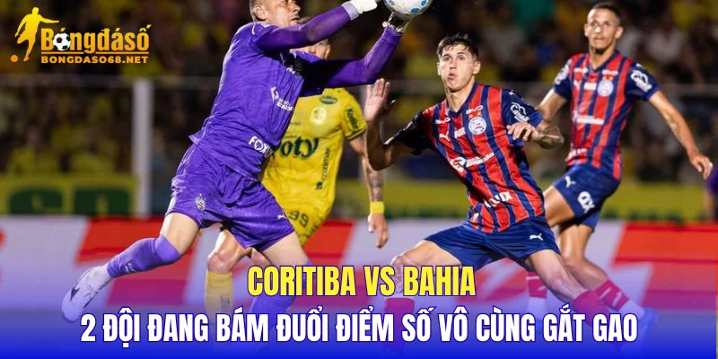 Coritiba vs Bahia 2 đội đang bám đuổi điểm số vô cùng gắt gao