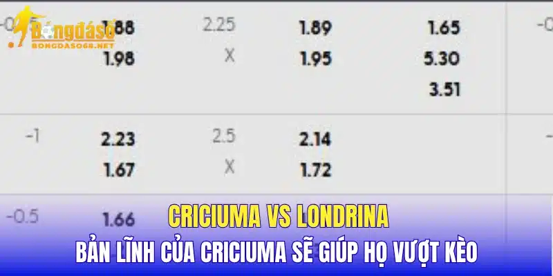 Criciuma vs Londrina bản lĩnh của Criciuma sẽ giúp họ vượt kèo