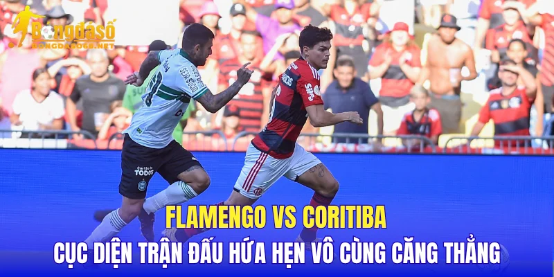 Flamengo vs Coritiba cục diện trận đấu hứa hẹn vô cùng căng thẳng