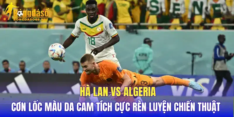 Hà Lan vs Algeria cơn lốc màu da cam tích cực rèn luyện chiến thuật