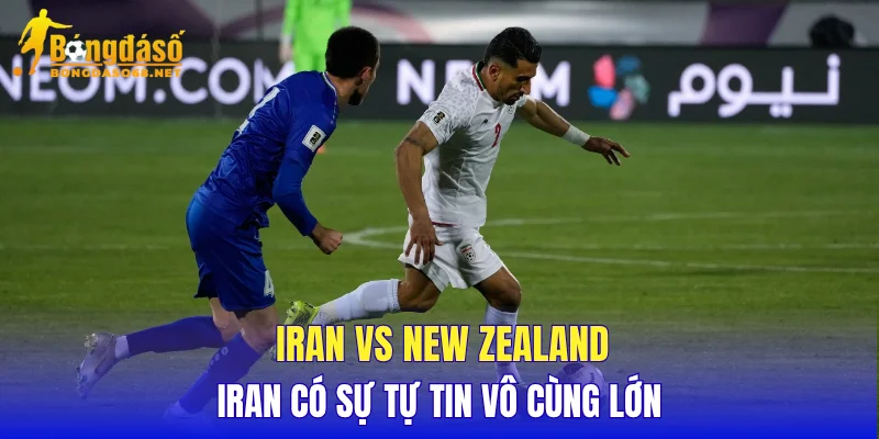 Iran vs New Zealand Iran có sự tự tin vô cùng lớn