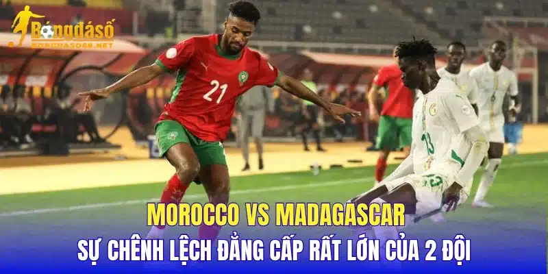 Morocco vs Madagascar sự chênh lệch đẳng cấp rất lớn của 2 đội