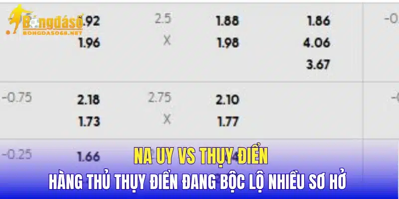 Na Uy vs Thụy Điển hàng thủ Thụy Điển đang bộc lộ nhiều sơ hở