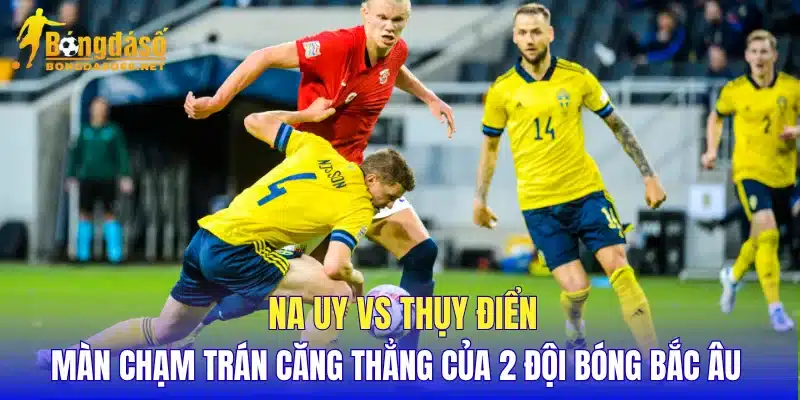 Na Uy vs Thụy Điển màn chạm trán căng thẳng của 2 đội bóng Bắc Âu