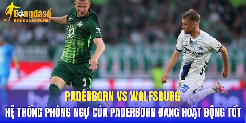 Paderborn vs Wolfsburg hệ thống phòng ngự của Paderborn đang hoạt động tốt