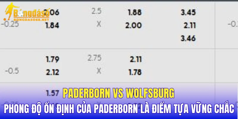 Paderborn vs Wolfsburg phong độ ổn định của Paderborn là điểm tựa vững chắc