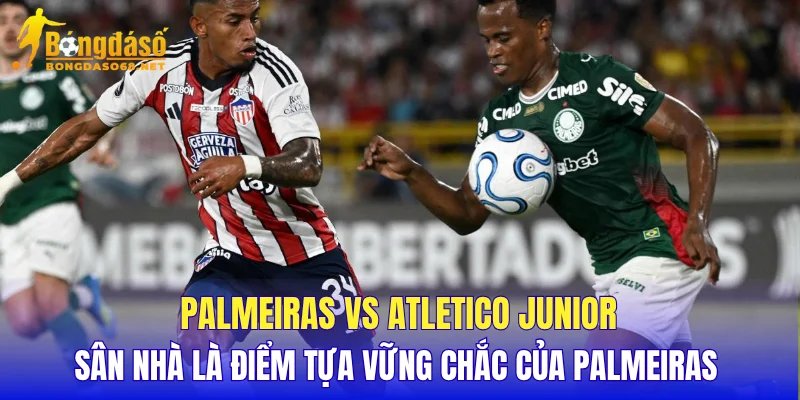 Palmeiras vs Atletico Junior sân nhà là điểm tựa vững chắc của Palmeiras