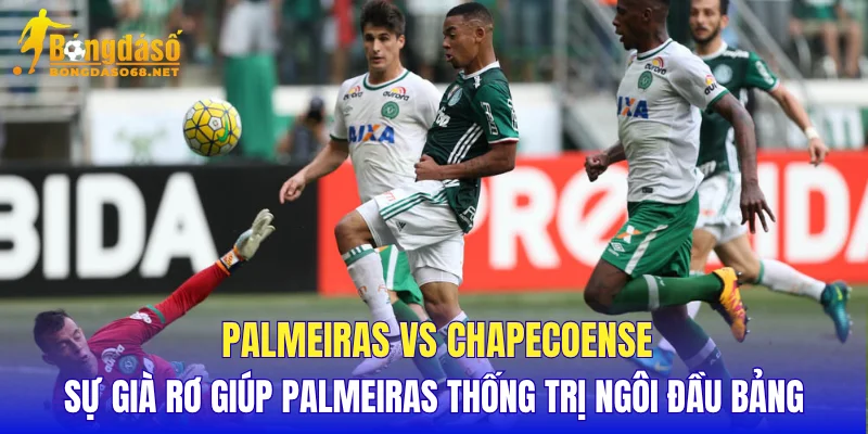 Palmeiras vs Chapecoense sự già rơ giúp Palmeiras thống trị ngôi đầu bảng