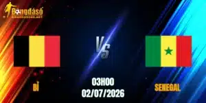 Bỉ vs Senegal