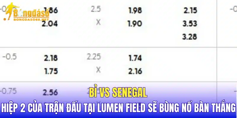 Bỉ vs Senegal hiệp 2 của trận đấu tại Lumen Field sẽ bùng nổ bàn thắng