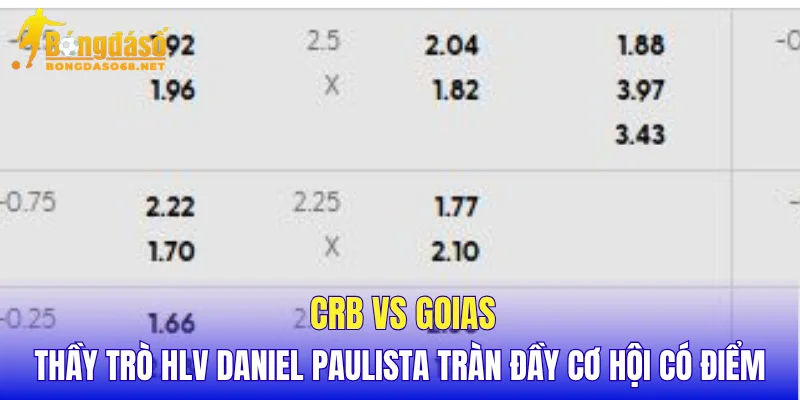 CRB vs Goias thầy trò HLV Daniel Paulista tràn đầy cơ hội có điểm
