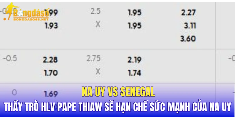 Na Uy vs Senegal thầy trò HLV Pape Thiaw sẽ hạn chế sức mạnh của Na Uy