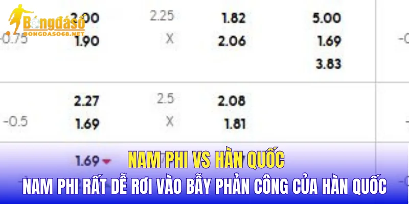 Nam Phi vs Hàn Quốc Nam Phi rất dễ rơi vào bẫy phản công của Hàn Quốc