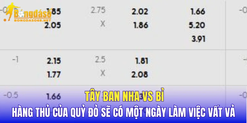 Tây Ban Nha vs Bỉ hàng thủ của Quỷ Đỏ sẽ có một ngày làm việc vất vả